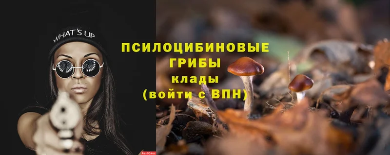 Псилоцибиновые грибы Magic Shrooms  Искитим 